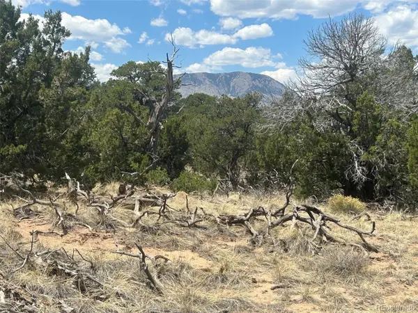 Cr 530, Walsenburg, CO 81089