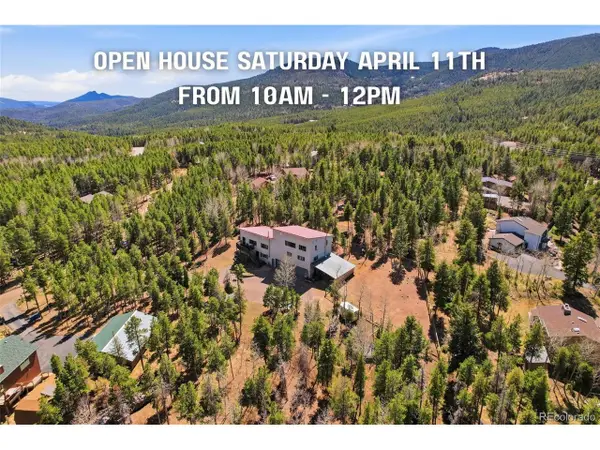 9225 Sandy Ln, Conifer, CO 80433