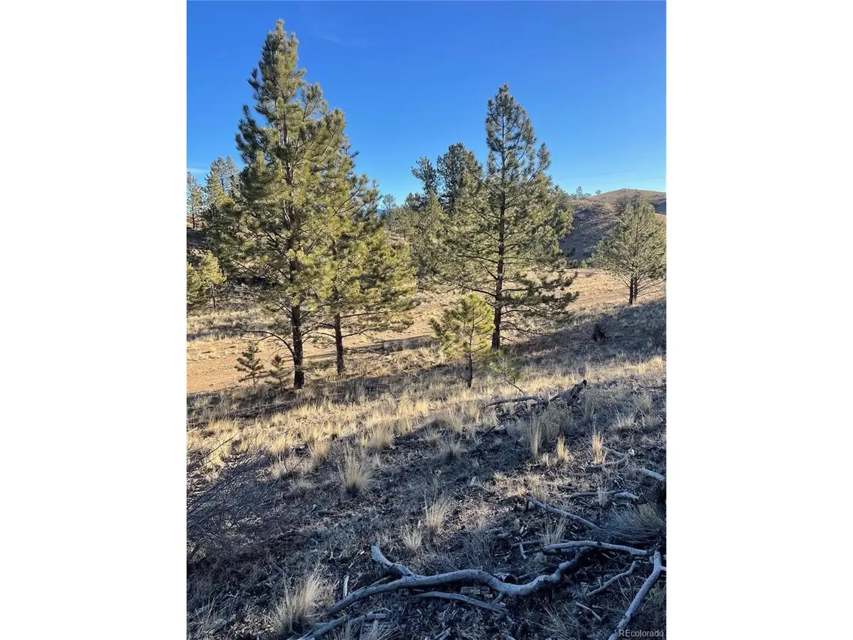 0 Tarryall Rd, Hartsel, CO 80449 - #1