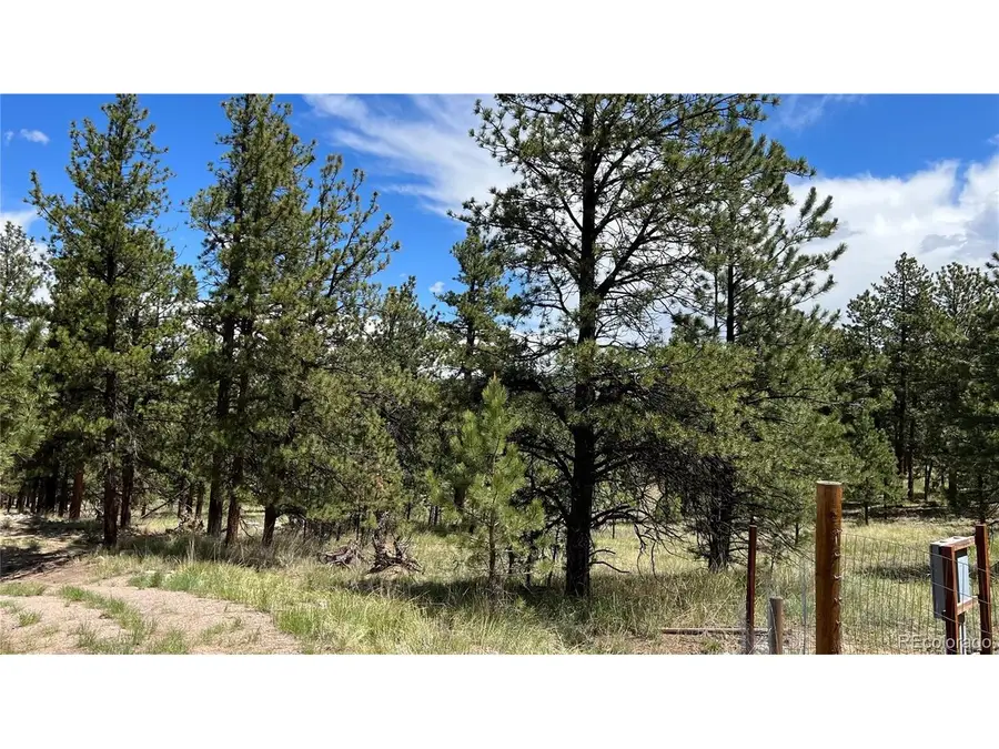207 Little Bear Dr, Westcliffe, CO 81252 - #2