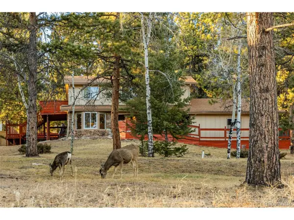28735 Little Big Horn Dr, Evergreen, CO 80439