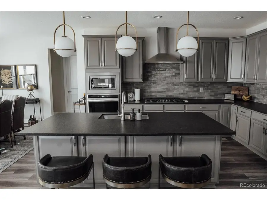 146 Kitselman Dr, Castle Rock, CO 80104 - #3