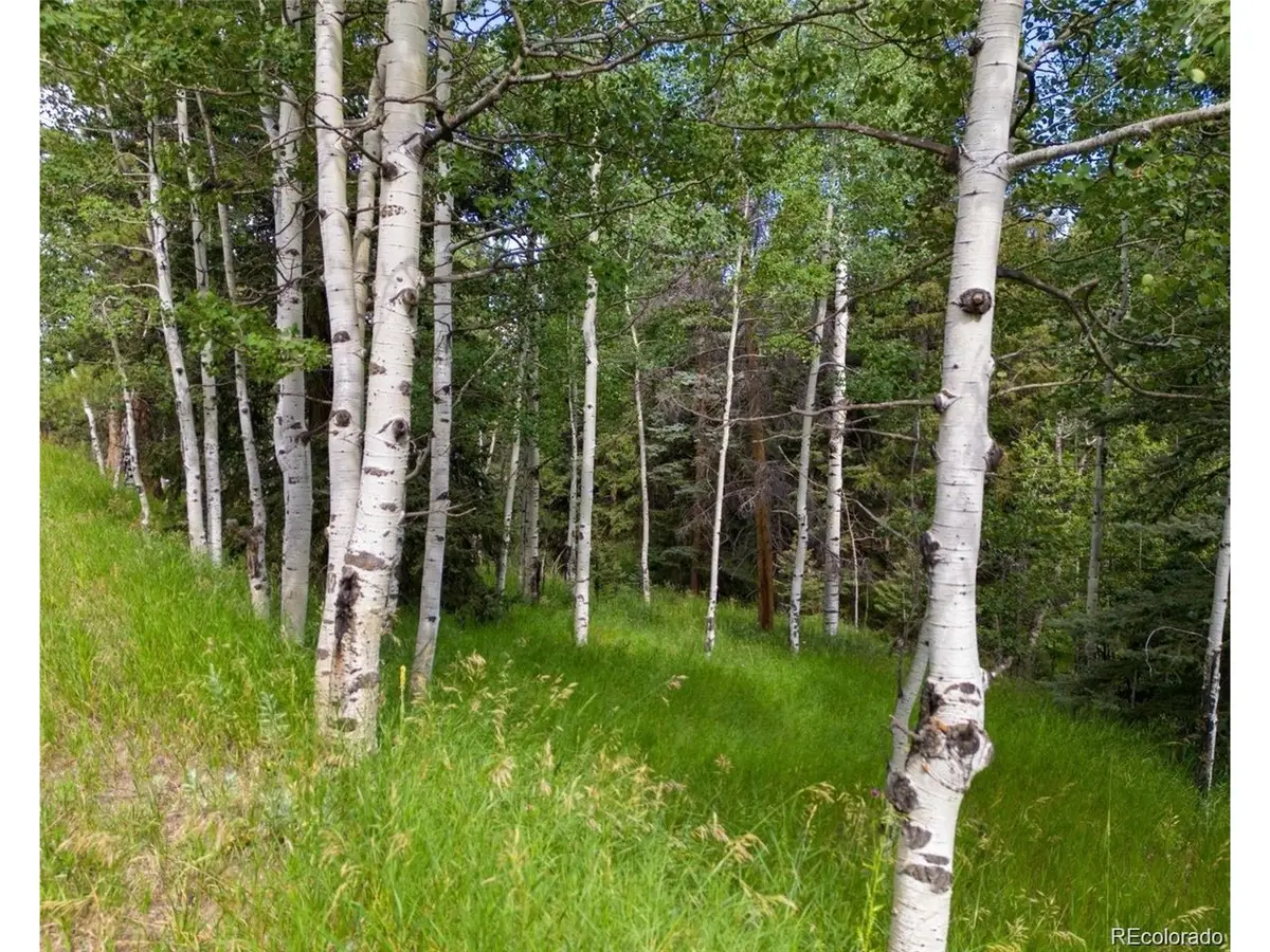 28380 Pine Trl, Conifer, CO 80433 - #1