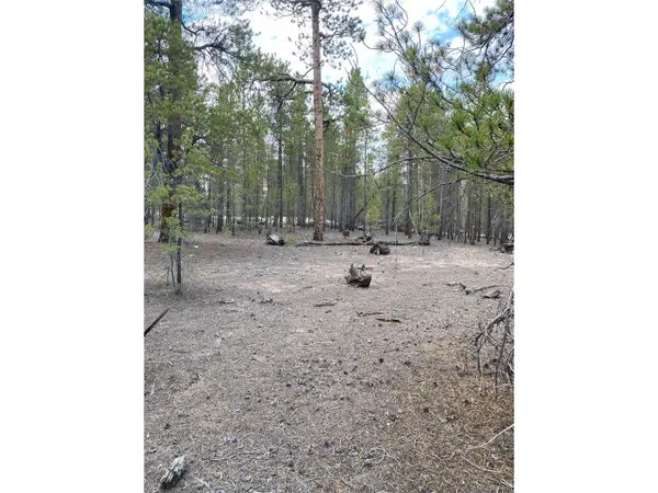 340 Peak View Dr, Twin Lakes, CO 80461