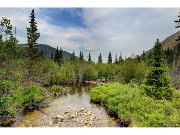 9562 Co Rd 18, Fairplay, CO 80440