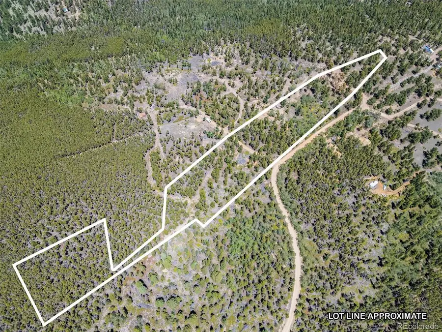719 Miners Candle Rd, Idaho Springs, CO 80452 - #3