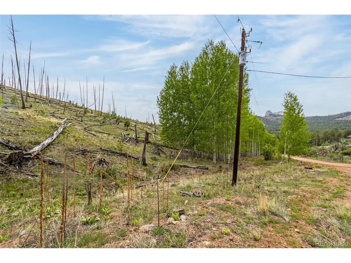 1 Columbine Cir, Woodland Park, CO 80863 - #1