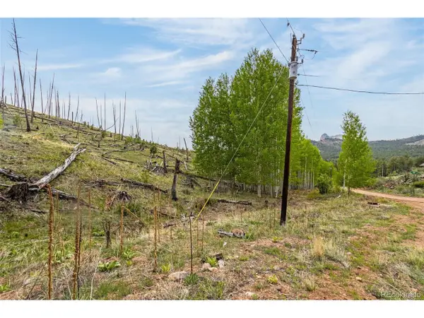 1 Columbine Cir, Woodland Park, CO 80863