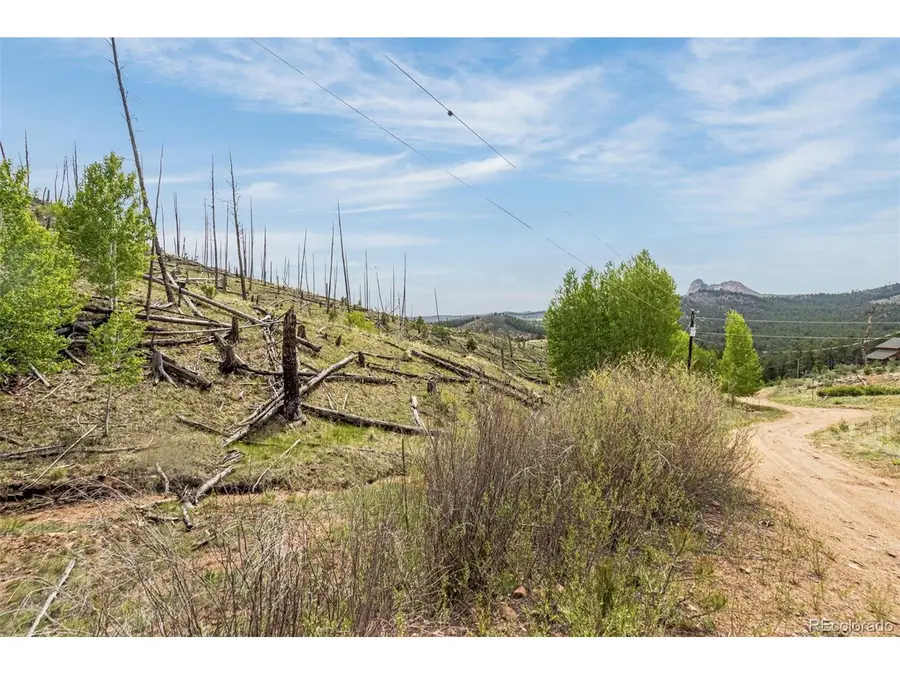 1 Columbine Cir, Woodland Park, CO 80863 - #2