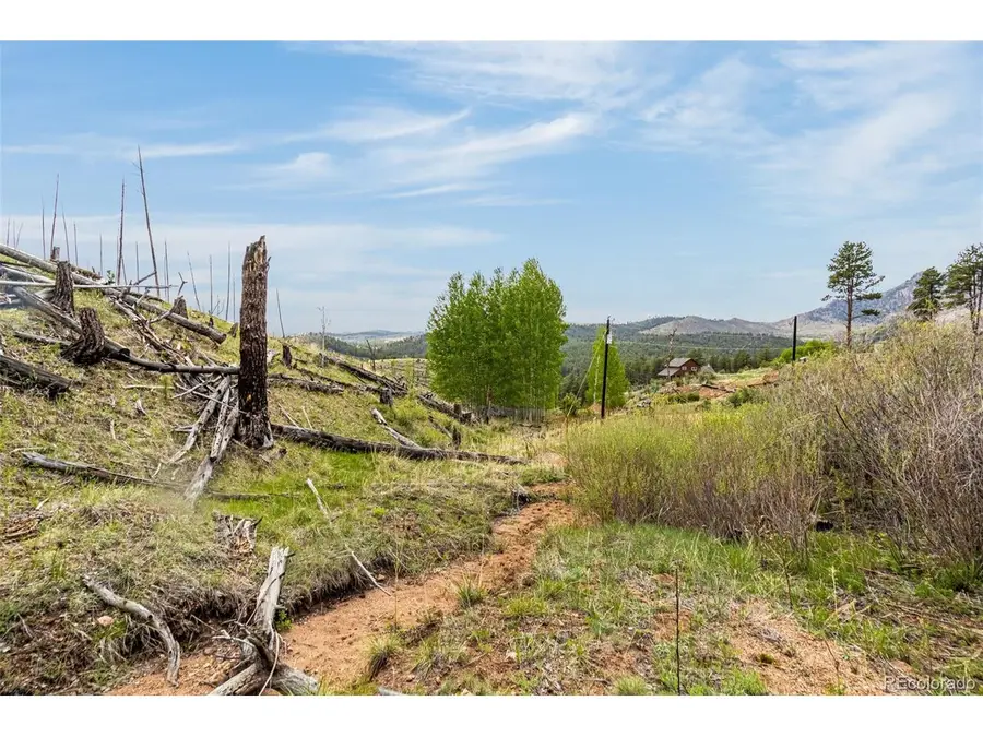 1 Columbine Cir, Woodland Park, CO 80863 - #3