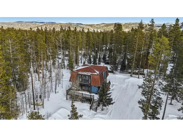 106 Protector Cir, Breckenridge, CO 80424