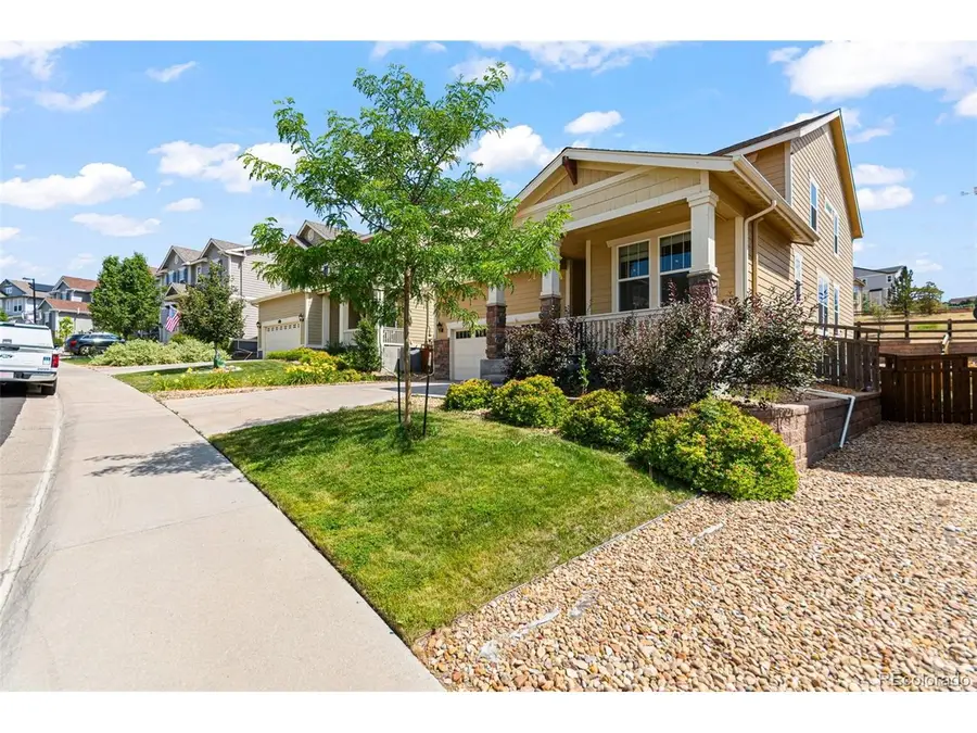 2580 Ambience Ln, Castle Rock, CO 80109 - #3