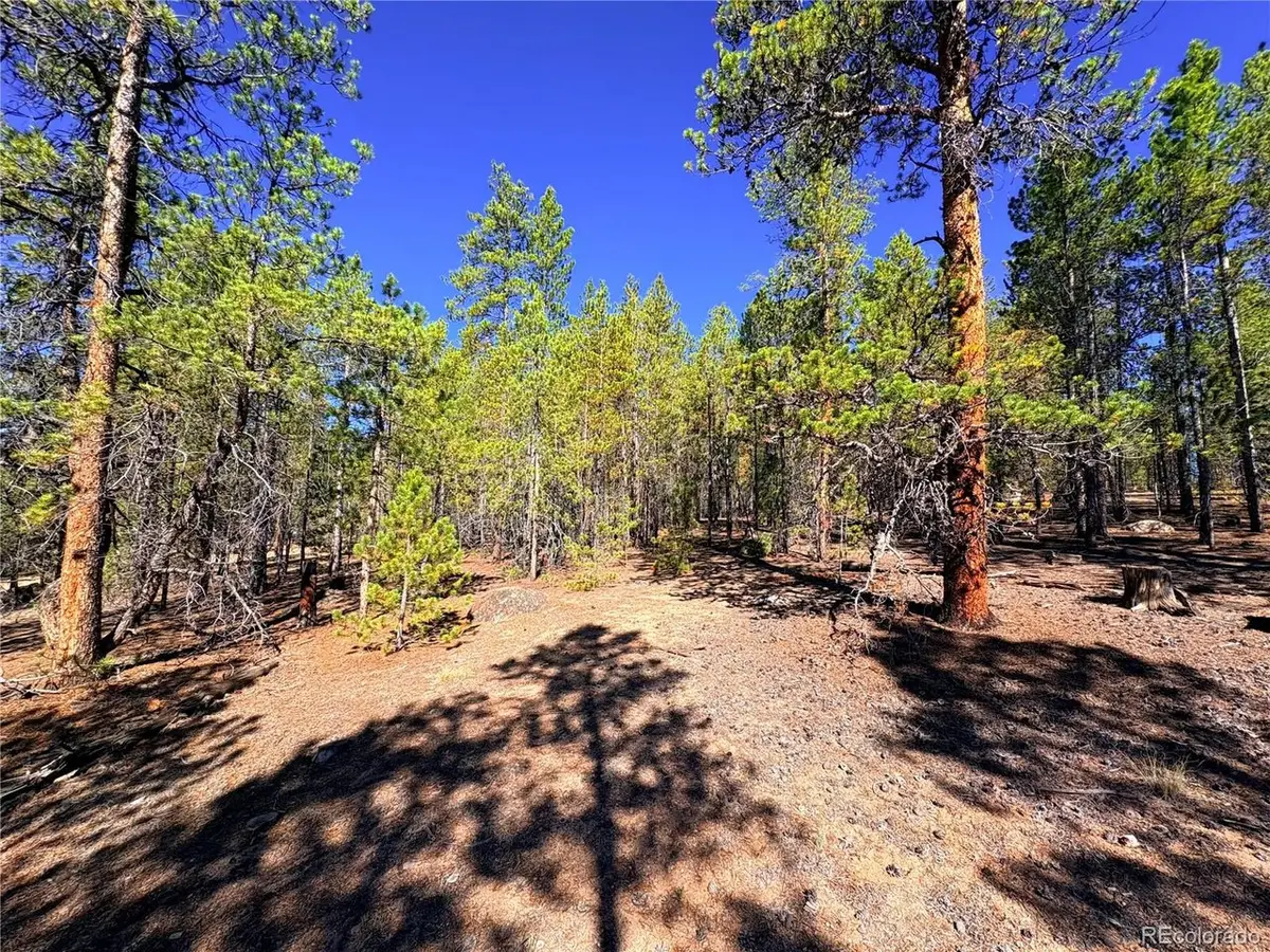 323 Aspen Dr, Leadville, CO 80461 - #1