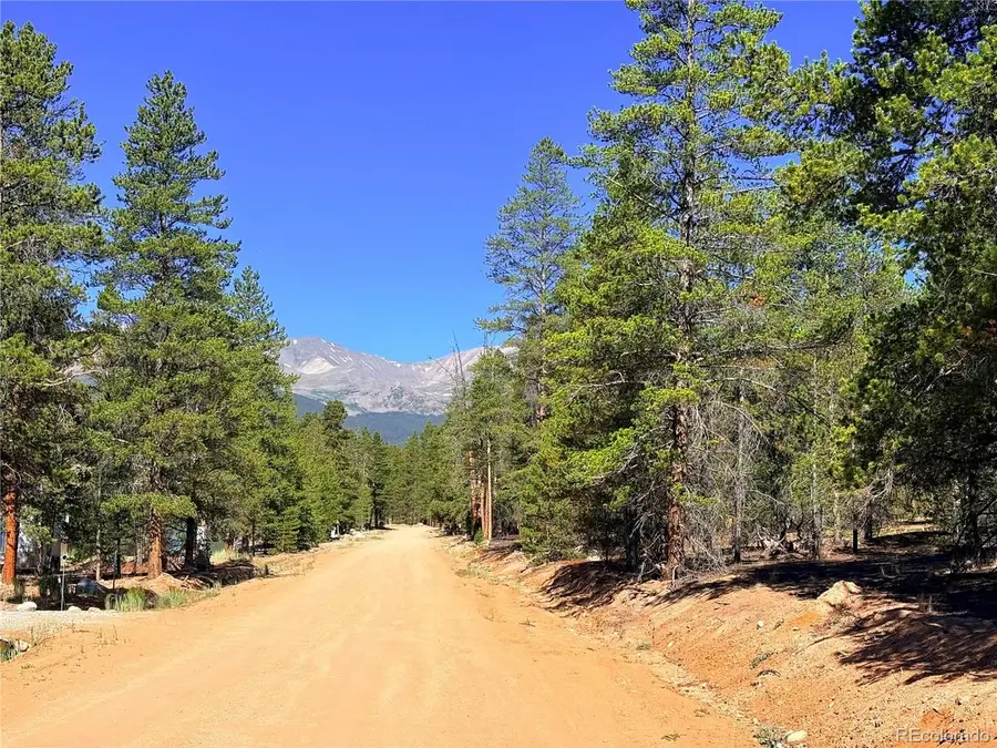 323 Aspen Dr, Leadville, CO 80461 - #2