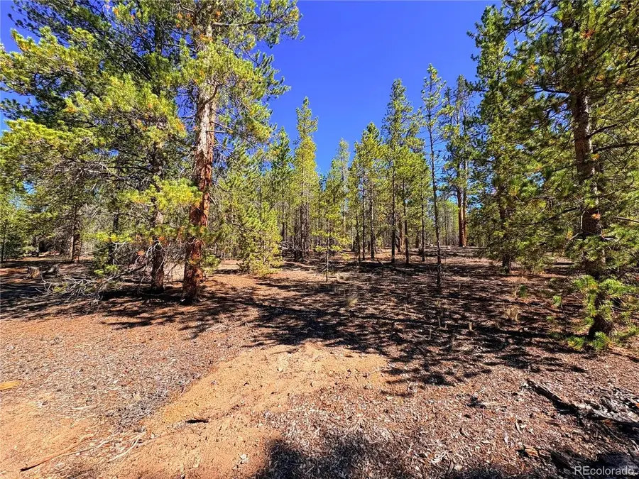 323 Aspen Dr, Leadville, CO 80461 - #3