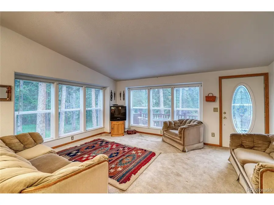 10 Stuart Vista Ct, Idaho Springs, CO 80452 - #3