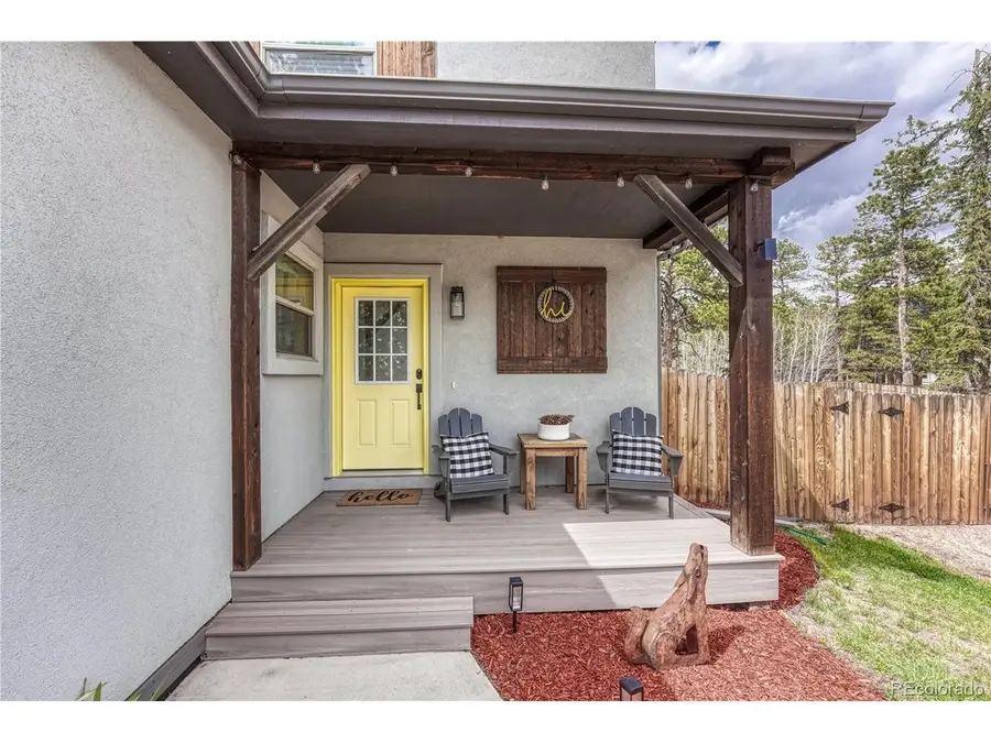 110 Chester Ave, Woodland Park, CO 80863 - #3