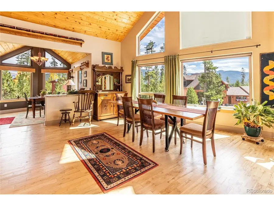 95 Rocky Mountain Ln, Grand Lake, CO 80447 - #3