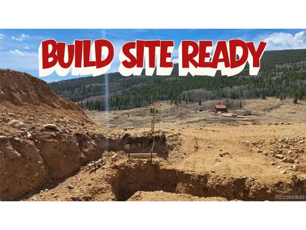 2515 High Creek Rd, Fairplay, CO 80440