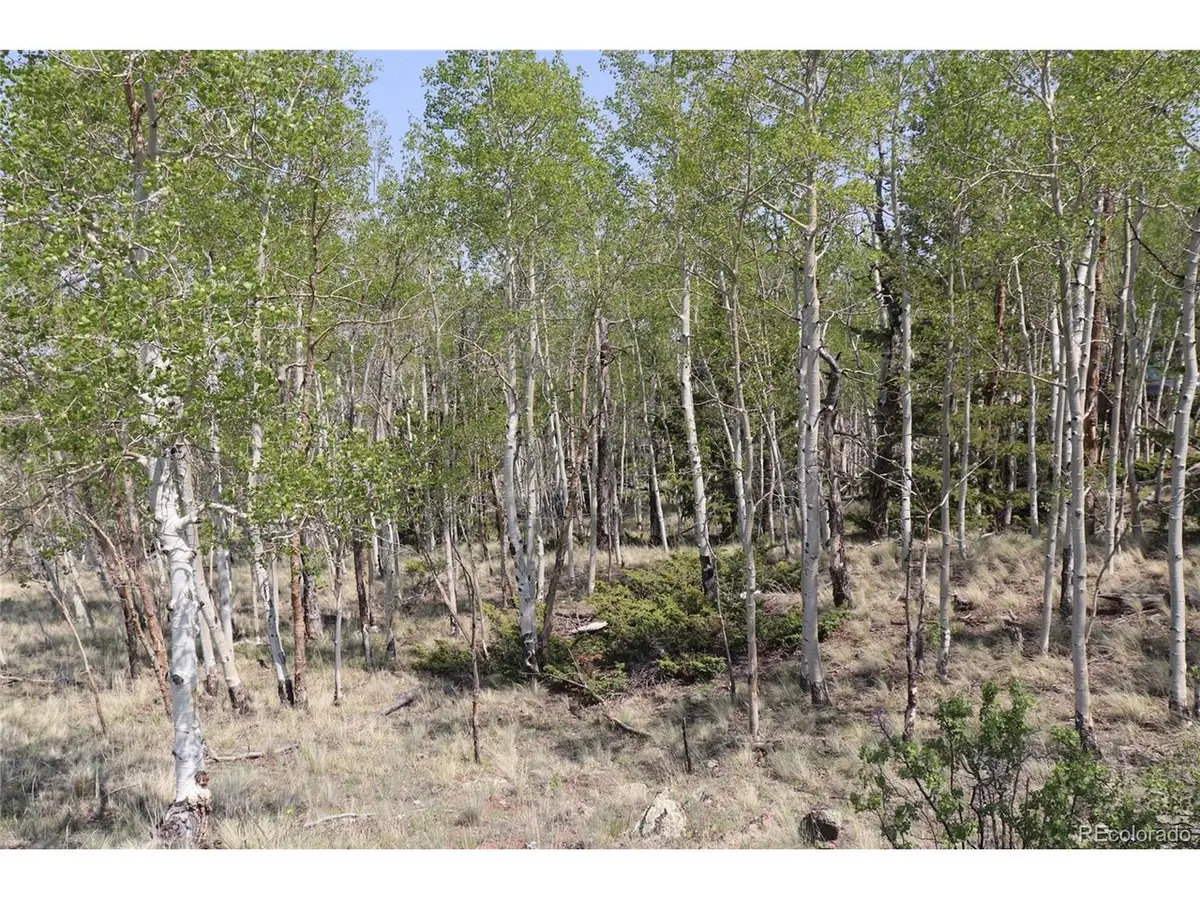 687 Corral Rd, Hartsel, CO 80449 - #1