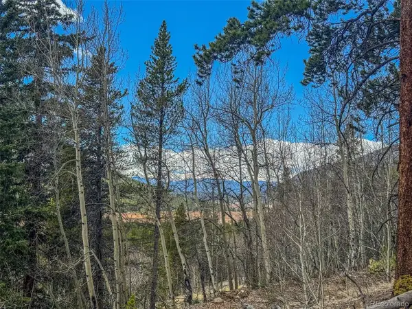 Buckeye Gulch Road, Leadville, CO 80461