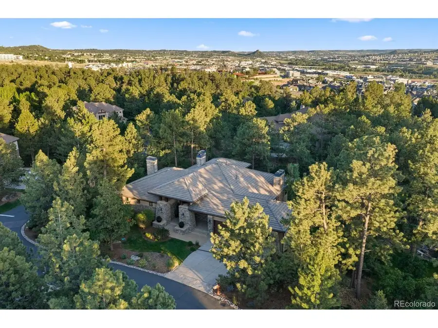 645 Ruby Trust Dr, Castle Rock, CO 80108 - #2