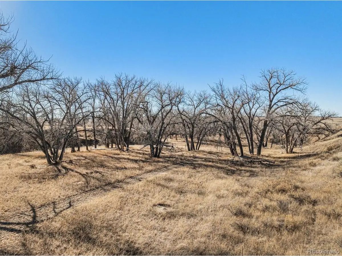 21052 Way Of Peace, Deer Trail, CO 80105 - #1