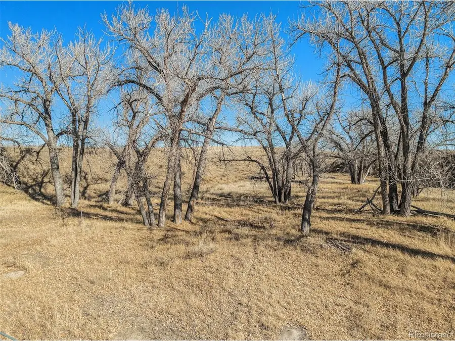 21052 Way Of Peace, Deer Trail, CO 80105 - #2