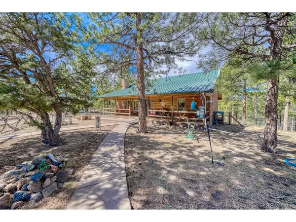 4701 County Road 323, Westcliffe, CO 81252
