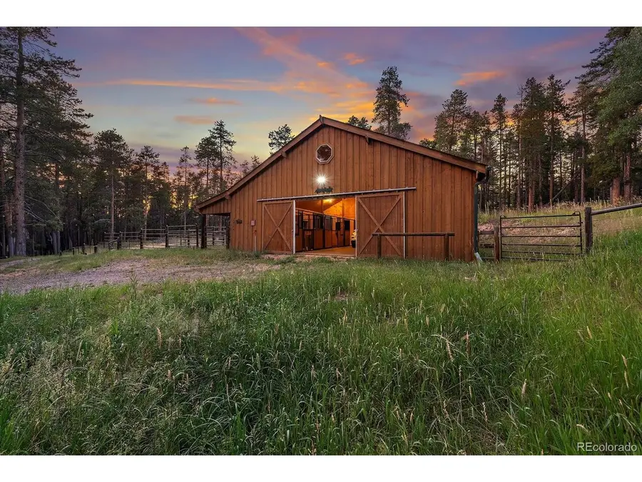 13094 Molly Dr, Conifer, CO 80433 - #2