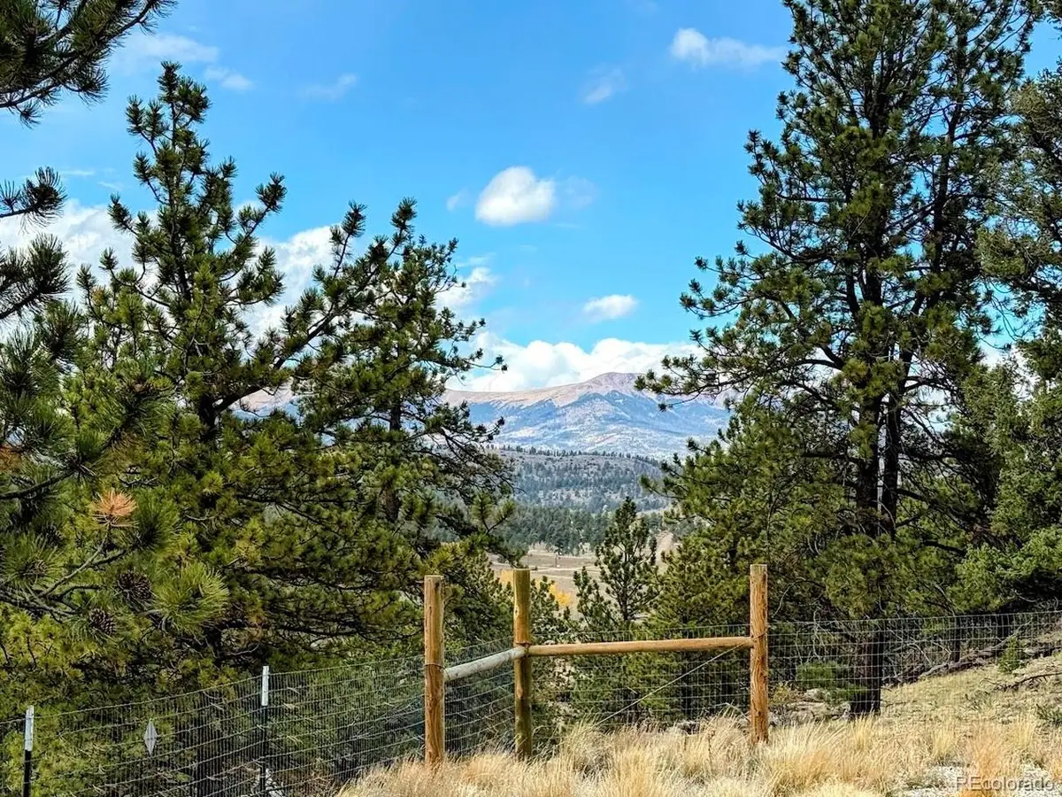 3330 Singletree Rd, Hartsel, CO 80449 - #1