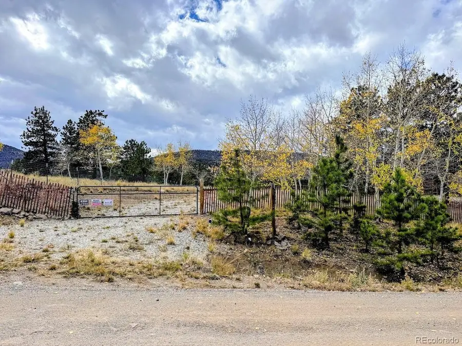 3330 Singletree Rd, Hartsel, CO 80449 - #2