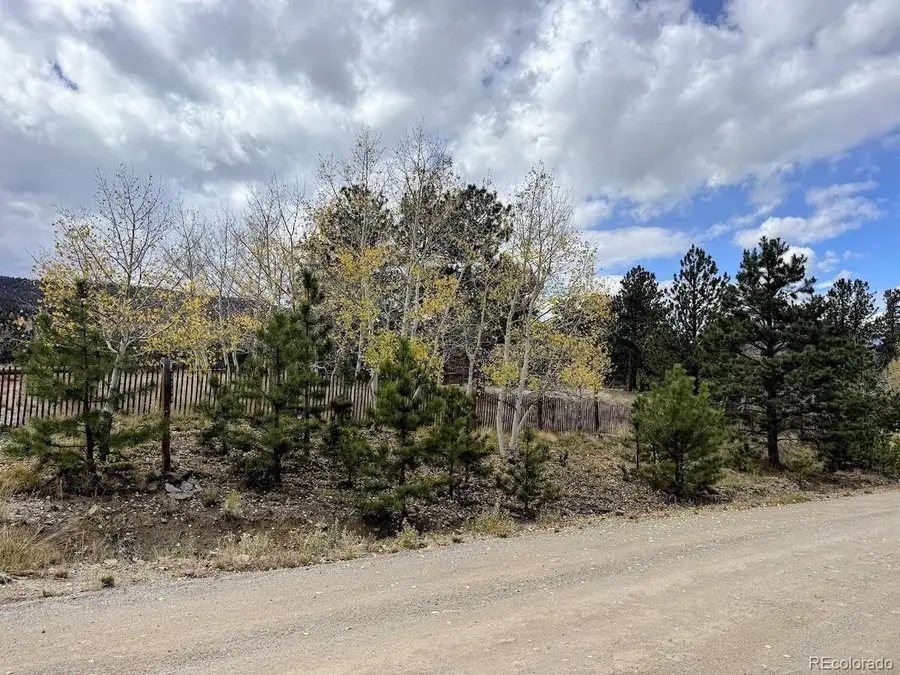 3330 Singletree Rd, Hartsel, CO 80449 - #3