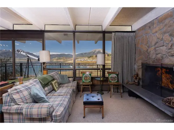 614 Tenderfoot St #22, Dillon, CO 80435
