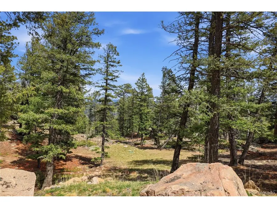 24073 Peak Dr, Conifer, CO 80433 - #2