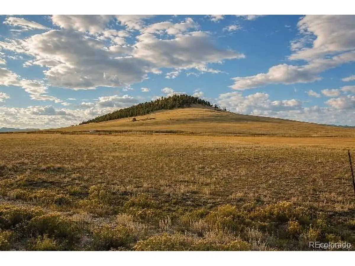 6065 Moffat Rd, Hartsel, CO 80449 - #1