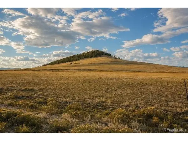 6065 Moffat Rd, Hartsel, CO 80449
