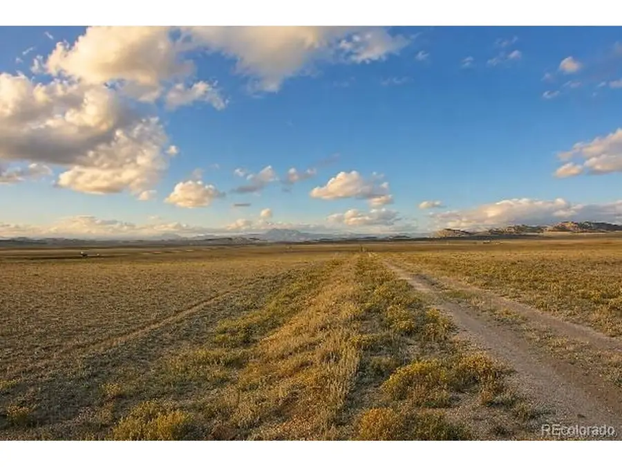 6065 Moffat Rd, Hartsel, CO 80449 - #2