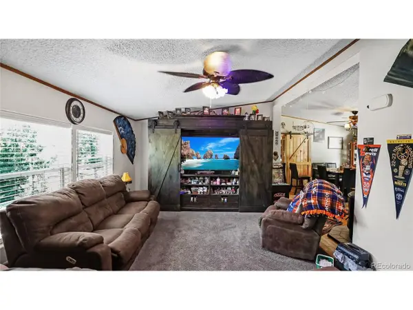 76 S Pine Dr, Bailey, CO 80421