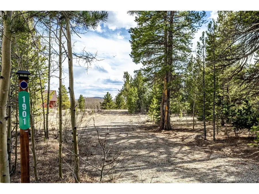 901 Bluestem Way, Fairplay, CO 80440 - #2