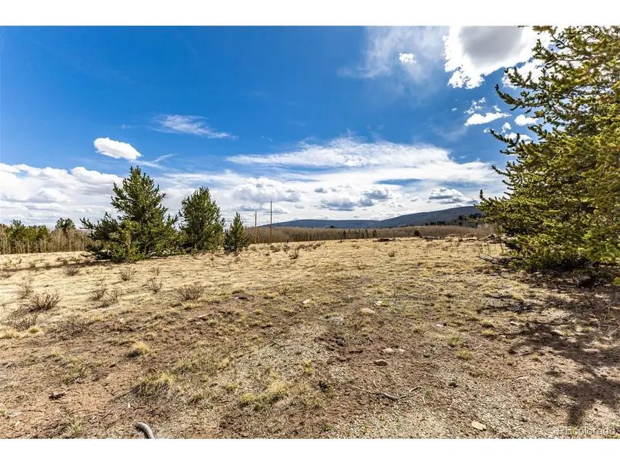 901 Bluestem Way, Fairplay, CO 80440 - #3