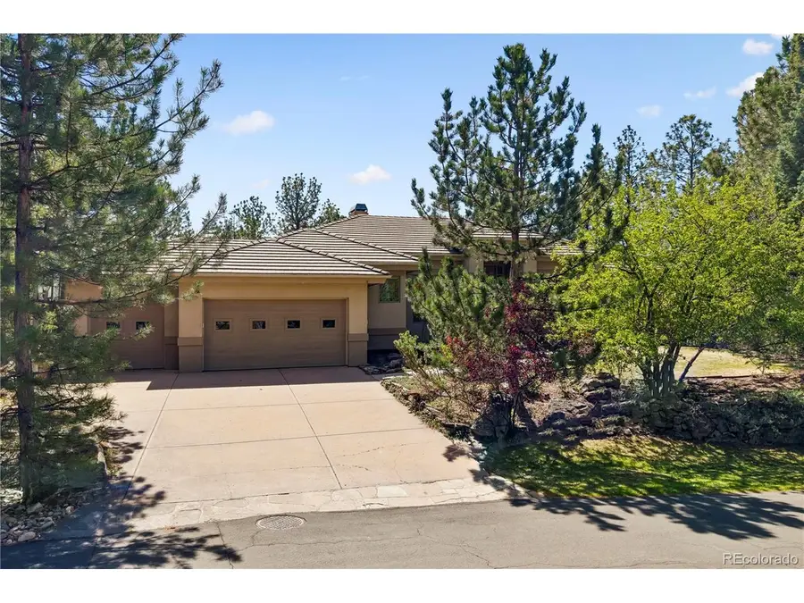 234 Lead King Dr, Castle Rock, CO 80108 - #3