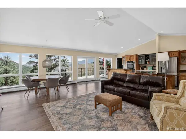 30236 Zurich Dr, Pine, CO 80470