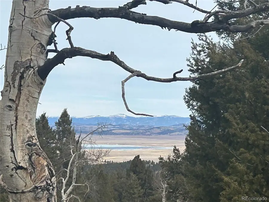 1421 Pitchfork Rd, Hartsel, CO 80449 - #2