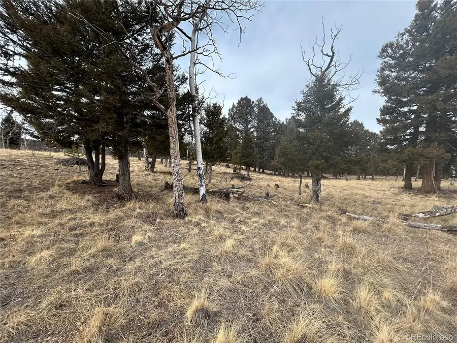 1421 Pitchfork Rd, Hartsel, CO 80449 - #3