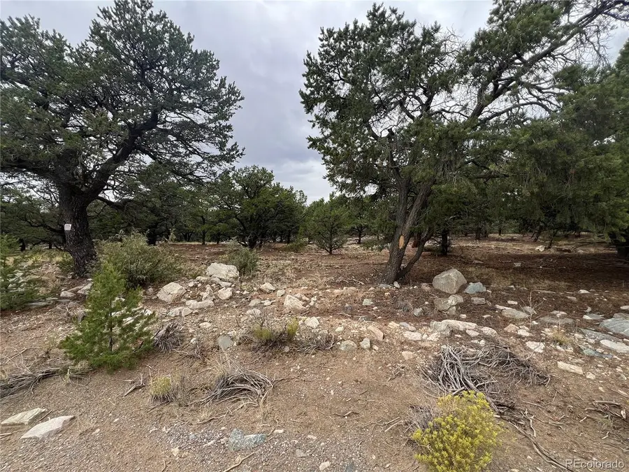 1917 Lone Pine Way, Crestone, CO 81131 - #3