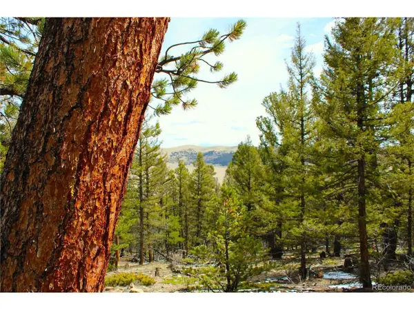 2882 Middle Fork Vis, Fairplay, CO 80440