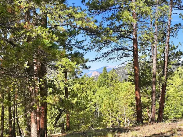 0 Molly Dr, Conifer, CO 80433