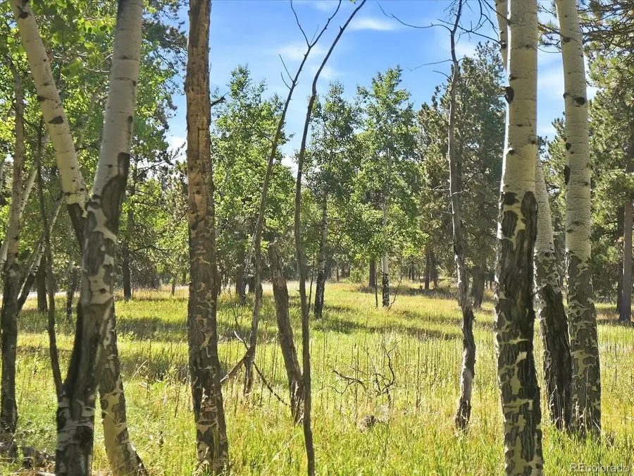 0 Molly Dr, Conifer, CO 80433 - #2