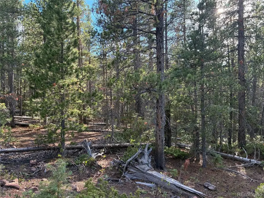 3187 Purnell Ln, Fort Garland, CO 81133 - #3
